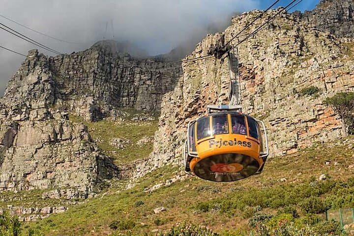 Table Mountain and Robben Island Private Tour: Cape Town Full-Day Experience