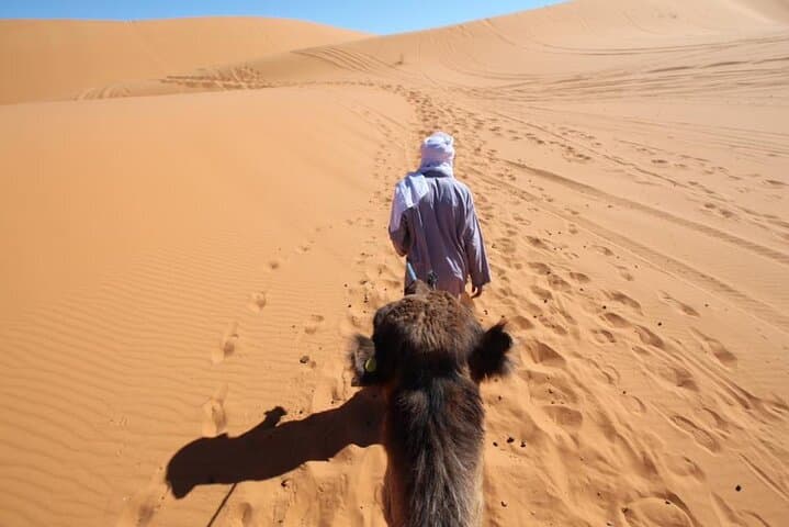 3-Day Merzouga Desert Experience: Camel Trek & Luxury Sahara Camp from Errachidia photo 5