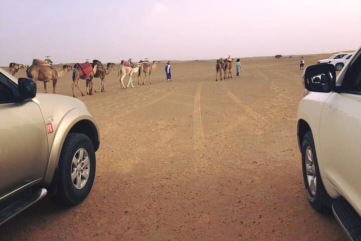 3-Day Merzouga Desert Experience: Camel Trek & Luxury Sahara Camp from Errachidia photo 2