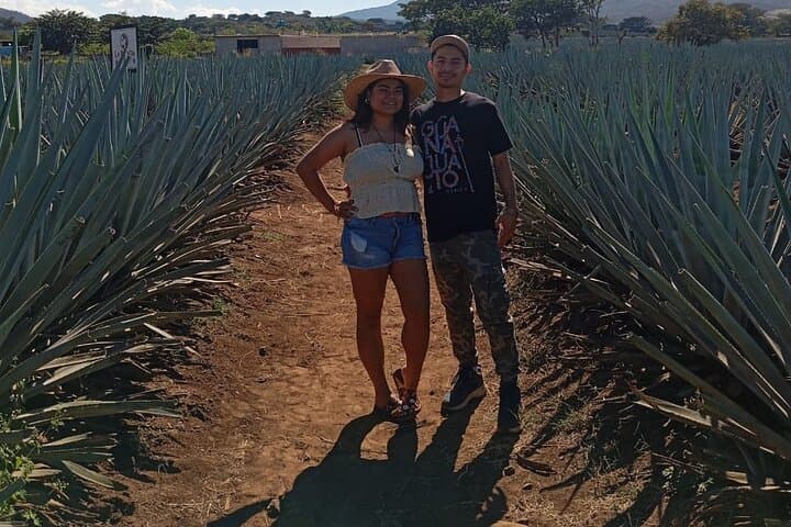 Guadalajara Weekend: Charros, Mariachi, Tequila & the Guachimontones photo 5