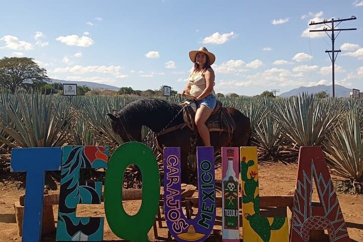 Guadalajara Weekend: Charros, Mariachi, Tequila & the Guachimontones photo 6