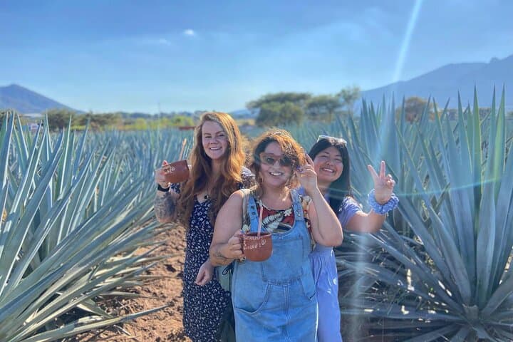 Tequila Pueblo Mágico Day Trip from Puerto Vallarta: Distilleries, Tastings & Agave Fields