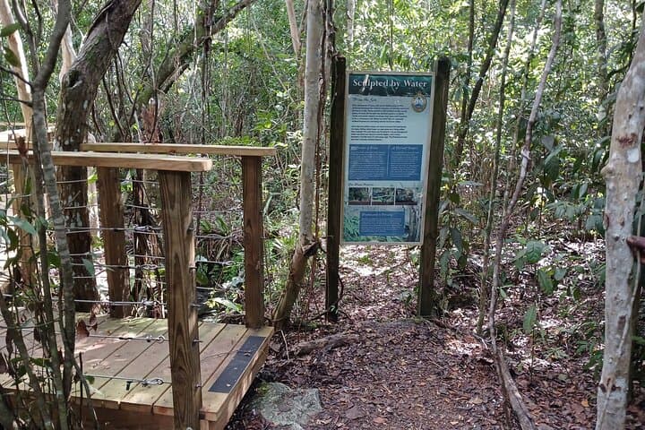 Guided Primeval Nature Walk — Explore Primeval Forest National Park in Nassau photo 3