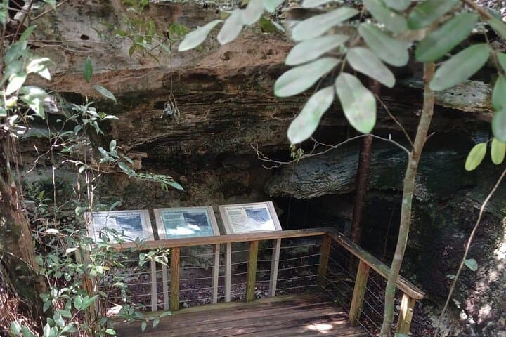 Guided Primeval Nature Walk — Explore Primeval Forest National Park in Nassau photo 5