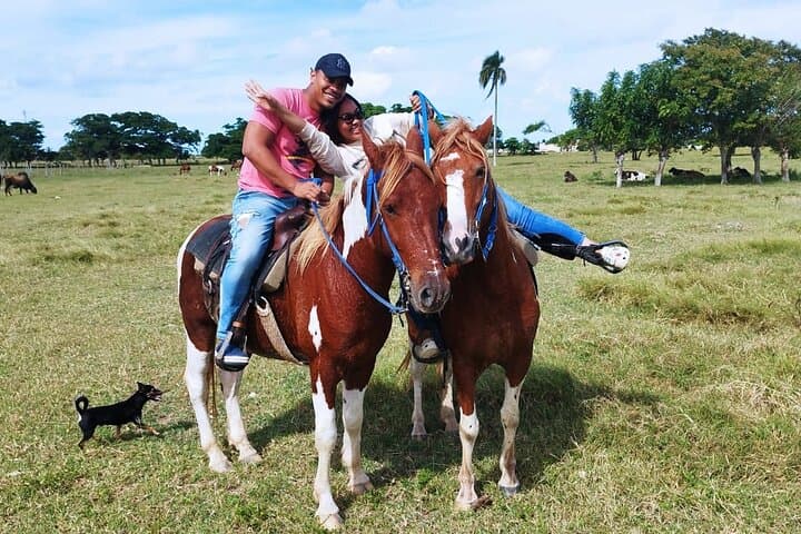 Sunset Horseback Ride to Macao Beach — 2-Hour Punta Cana Tour photo 3