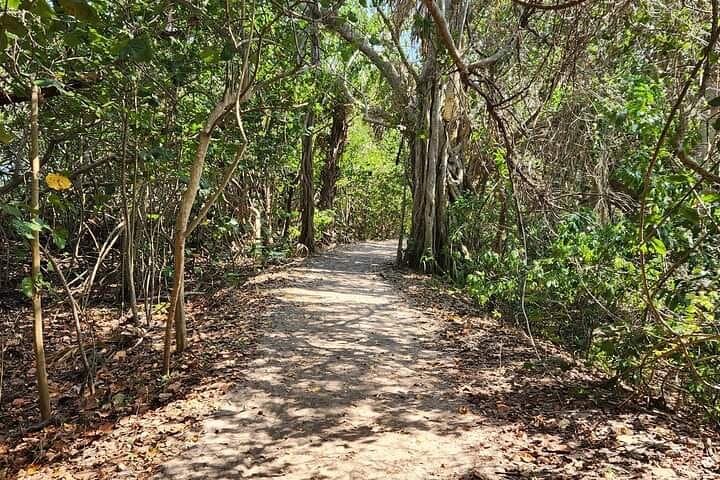 Florida Backcountry Overnight Camping Adventure — West Palm Beach Backcountry Trek photo 4