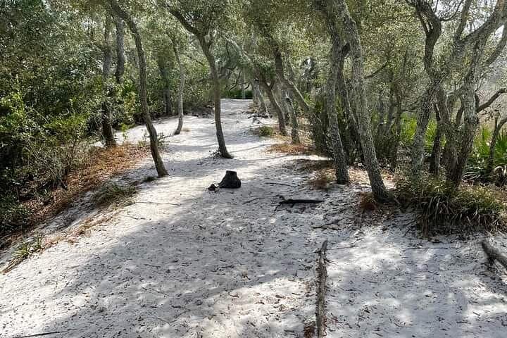 Florida Backcountry Overnight Camping Adventure — West Palm Beach Backcountry Trek photo 5