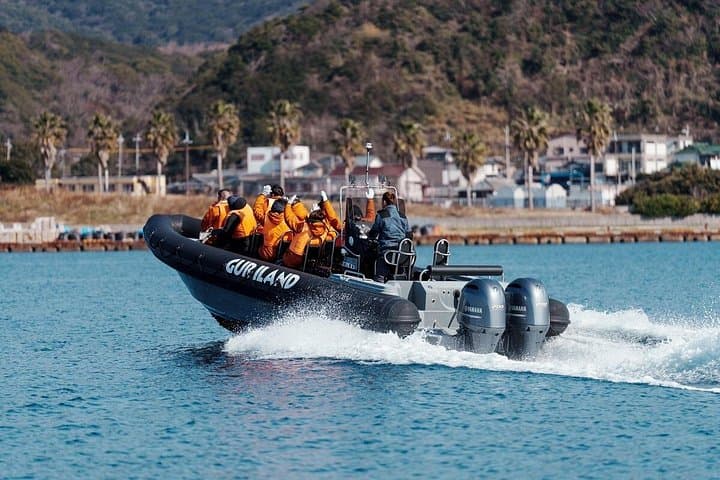 Shugendo Cruise and Tomogashima Cultural Day Trip from Wakayama photo 3
