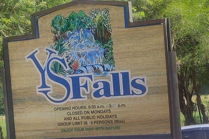 YS Falls and Black River Safari: Private Day Trip from Montego Bay