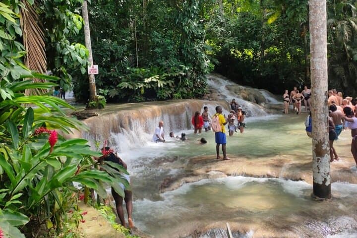 YS Falls and Black River Safari: Private Day Trip from Montego Bay photo 2