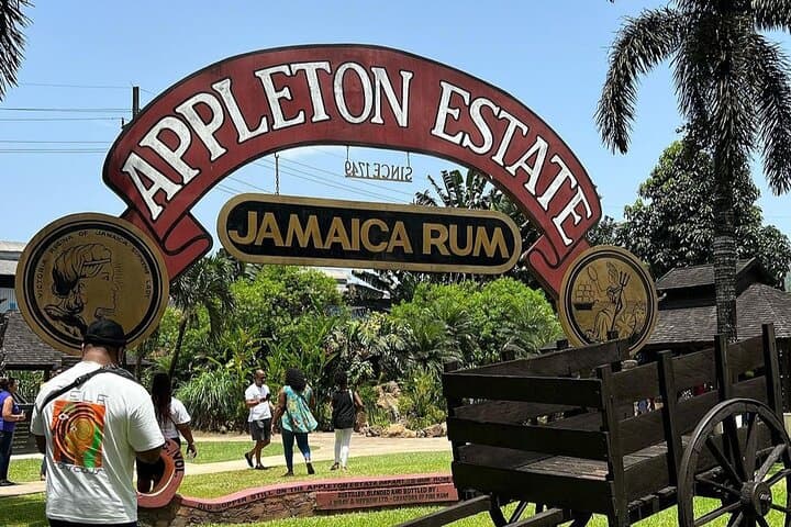 Private Joy Spence Appleton Experience from Montego Bay — Appleton Estate Rum Tour photo 6