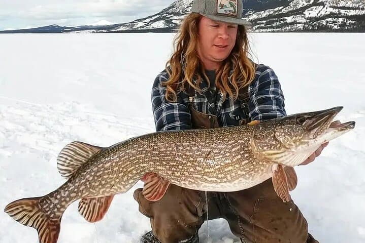 Yukon Ice Fishing: Half-Day Private Guided Trip from Whitehorse