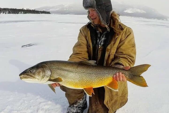 Yukon Ice Fishing: Half-Day Private Guided Trip from Whitehorse photo 5