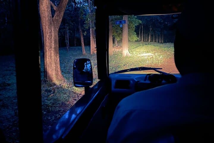 Hubli to Anshi National Park & Goa: Kali Tiger Reserve Safari and Coastal Escape photo 3
