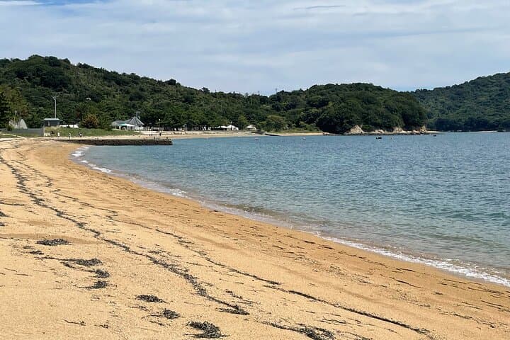 Naoshima Island Day Tour from Takamatsu: Bike the Art Islands of the Seto Inland Sea photo 6