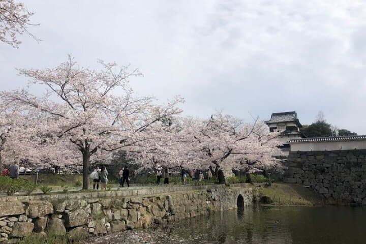 Hakata Half-Day Sightseeing & Coffee Tour in Fukuoka photo 4