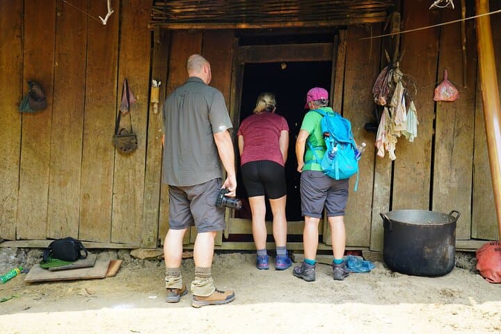 Jungle Life in Ba Be National Park: 4-Day Trek, Boat and Cave Exploration photo 3