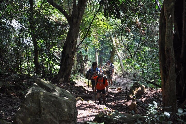 Jungle Life in Ba Be National Park: 4-Day Trek, Boat and Cave Exploration photo 4