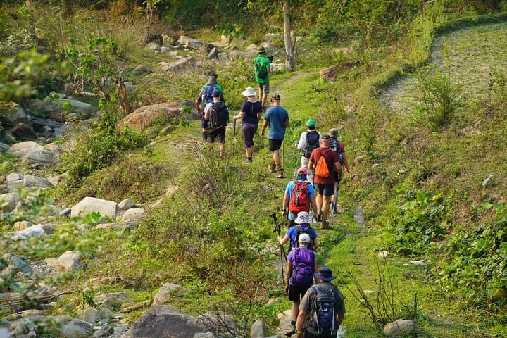 Jungle Life in Ba Be National Park: 4-Day Trek, Boat and Cave Exploration photo 5