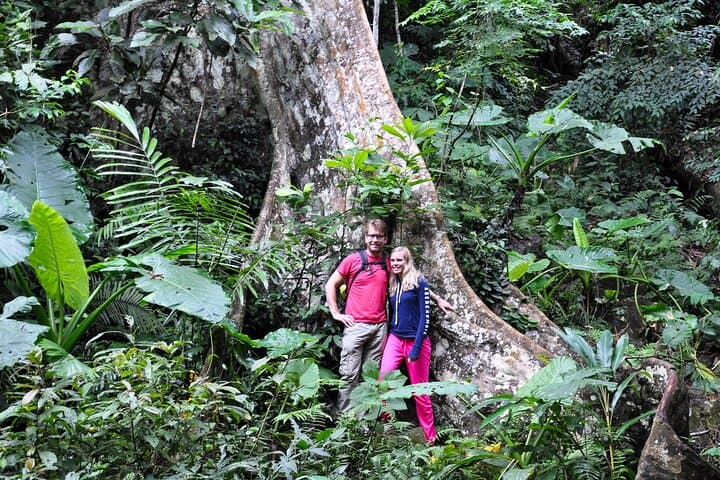 Jungle Life in Ba Be National Park: 4-Day Trek, Boat and Cave Exploration photo 6
