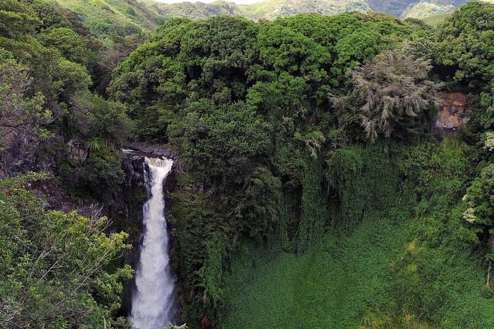 Road to Hana Full-Day Guided Tour from Maui