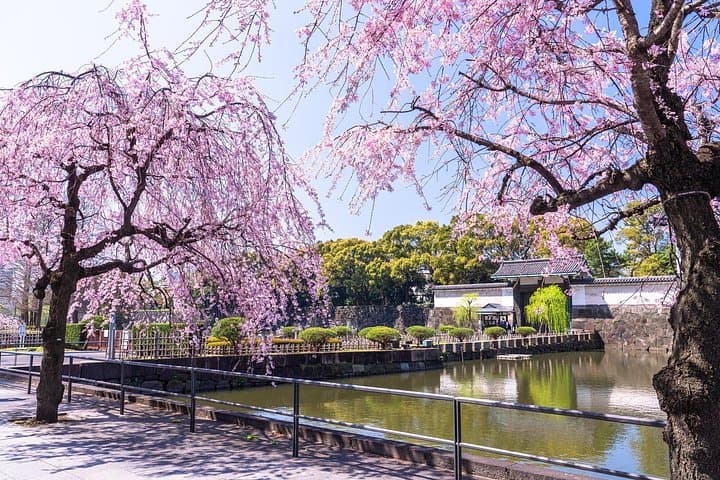 Tokyo's Imperial Palace East Gardens & Edo Castle: Private 2-Hour Historical Walking Tour photo 3