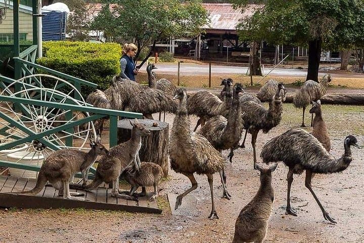 2-Day Busselton Jetty & Margaret River South West Coastal and Karri Forest Tour photo 4