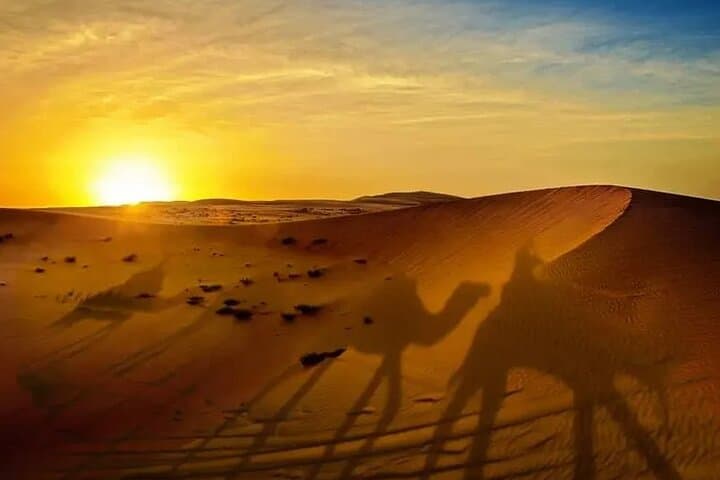 Morning Dune Drive in Dubai: Sandboarding, Camel Ride & Dune Bashing photo 2