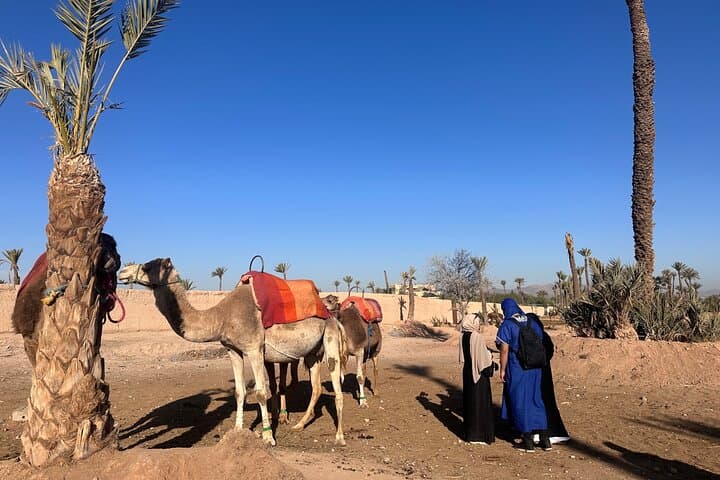 Agafay Desert Camel Ride: Half-Day Trek from Marrakech photo 6