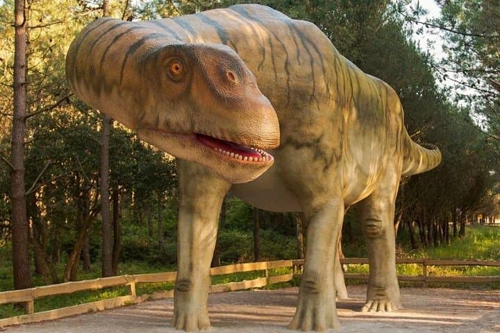 Dinosaurs Park Half-Day Family Tour near Lourinhã photo 2