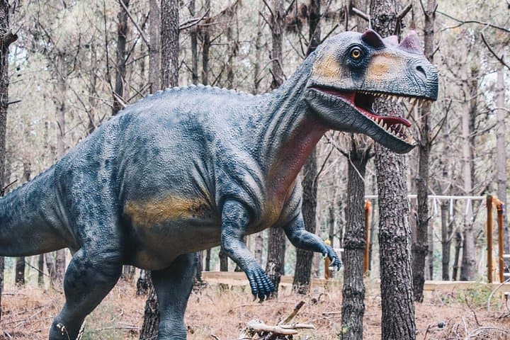 Dinosaurs Park Half-Day Family Tour near Lourinhã photo 4
