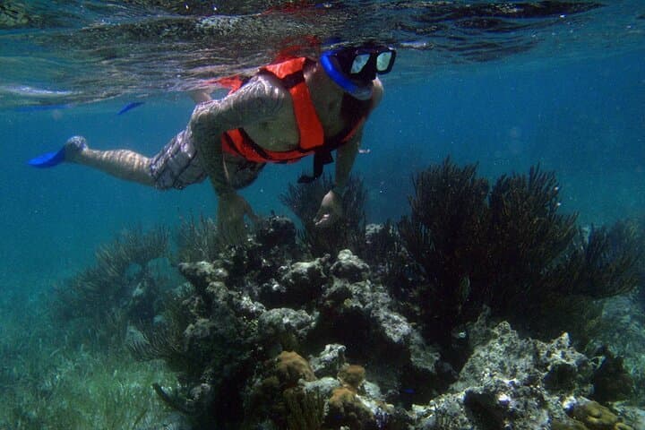 Private Snorkel Tour to Isla Mujeres: Family-Friendly Cancun Reef Excursion photo 5