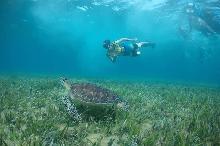 Private Snorkel Tour to Isla Mujeres: Family-Friendly Cancun Reef Excursion photo 6