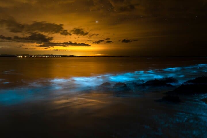 Bonaire Bioluminescent Night Dive — Ostracods, Plankton & Night Scuba photo 2