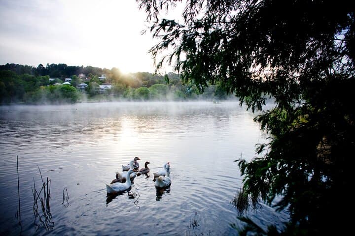 Daylesford Goldfields Track: 4-Day Walking and Wellness Experience photo 2