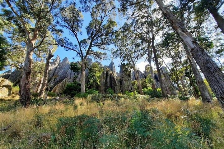 Daylesford Goldfields Track: 4-Day Walking and Wellness Experience photo 3