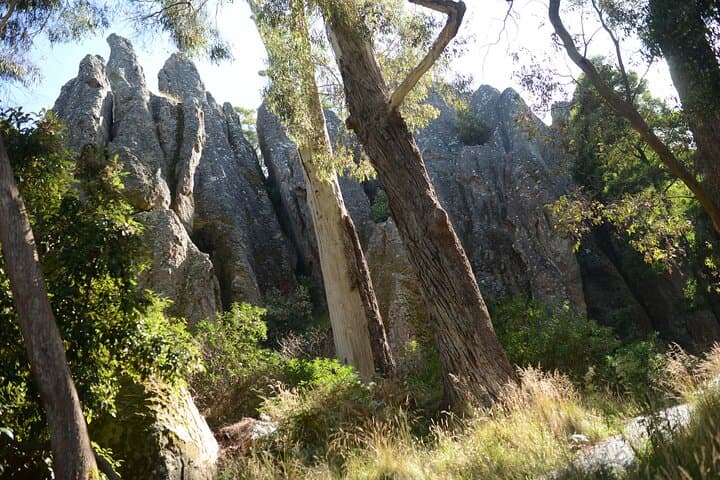 Daylesford Goldfields Track: 4-Day Walking and Wellness Experience photo 4