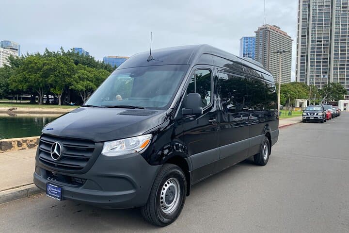 Private Mercedes Van Transfer from HNL Airport to Waikiki — Up to 14 Passengers photo 2