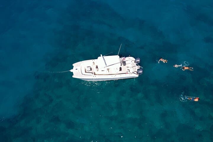 Private Whale Watching from Oahu — Ko Olina Small-Boat Humpback Tour photo 3