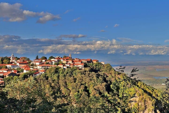 Kakheti Wine Day Trip: Sighnaghi, Bodbe & KTW Tasting (Private) photo 6