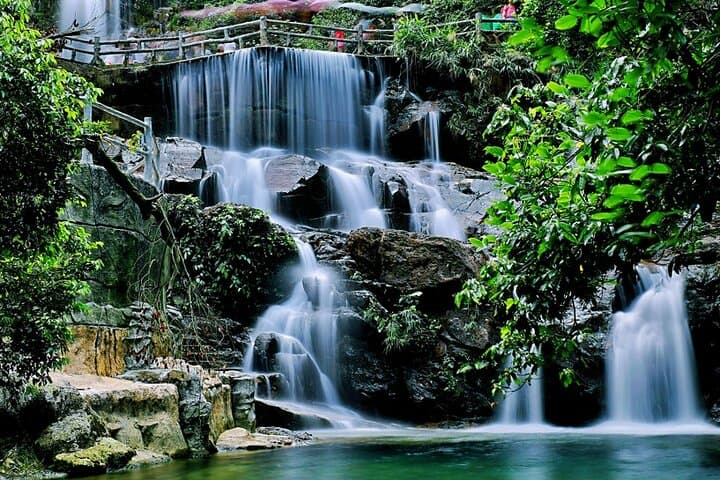 Dinghu Mountain Private Day Trip from Guangzhou Waterfalls Temple and Forest Trails photo 5