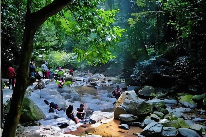 Dinghu Mountain Private Day Trip from Guangzhou Waterfalls Temple and Forest Trails photo 2