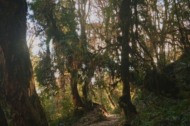 Nagarkot Hiking Day Tour — Sunrise Views, Village Trails & Changu Narayan photo 3