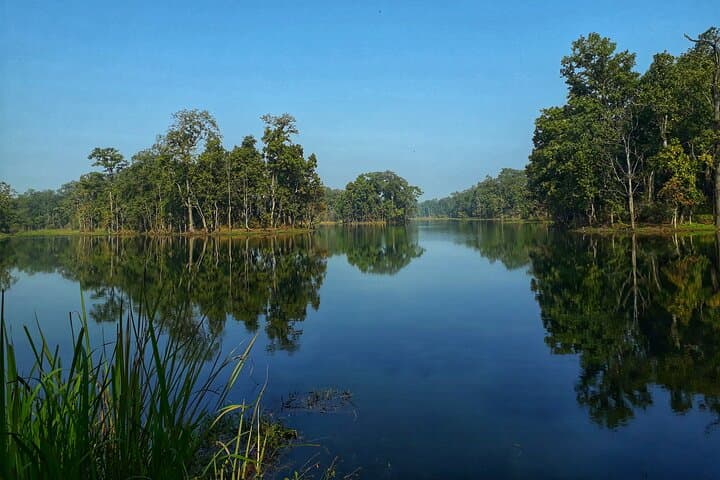 Chitwan Jeep Safari: Rhino, Tiger & River Safaris in Chitwan National Park