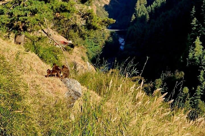 Nagarkot Full-Day Private Hiking Tour — Sunrise Ridge Hike & Changu Narayan Visit photo 5