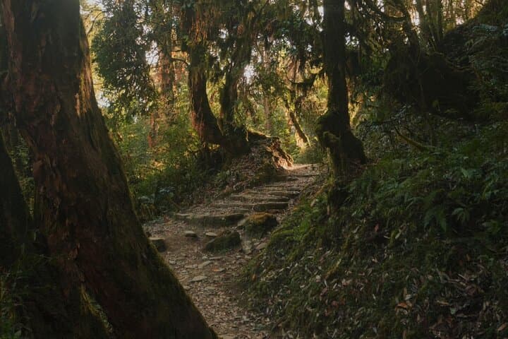 Nagarkot Full-Day Private Hiking Tour — Sunrise Ridge Hike & Changu Narayan Visit photo 3