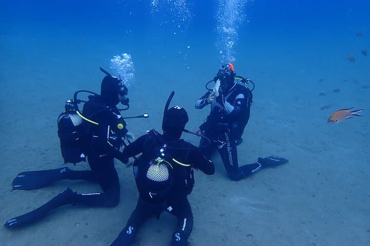 PADI Open Water Diver Course in Lanzarote — 3-Day Playa Chica Scuba Certification