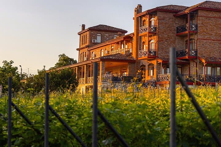 Schuchmann Chateau Day Spa, Wine Tasting & Red-Wine Bath in Kakheti