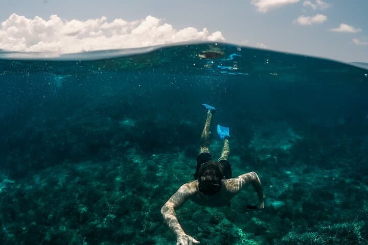 Dubai Scuba Diving Adventure: Introductory Dive in the Arabian Gulf