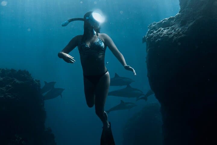 Dubai Scuba Diving Adventure: Introductory Dive in the Arabian Gulf photo 2
